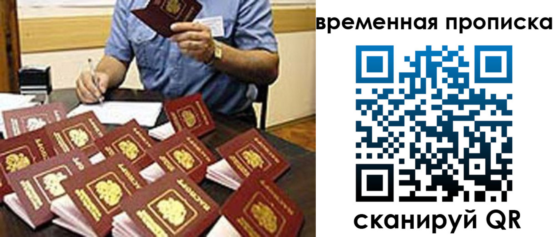 прописка для школы в Лесном